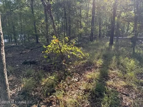 Old Fannin Road, Flowood, MS 39232 photo 2