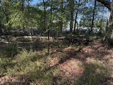 Old Fannin Road, Flowood, MS 39232 photo 4