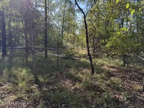 Old Fannin Road, Flowood, MS 39232 photo 3