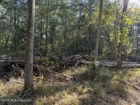 Old Fannin Road, Flowood, MS 39232 photo 5