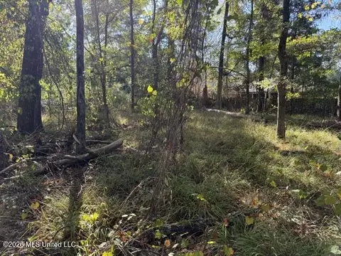 Old Fannin Road, Flowood, MS 39232 photo 8