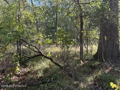 Old Fannin Road, Flowood, MS 39232 photo 7