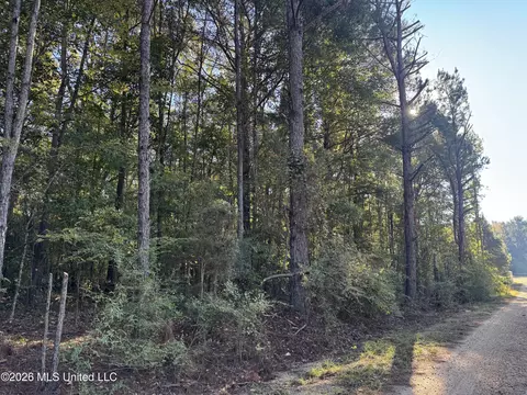1020 Robert Jones Rd, Summit, MS 39666 photo 3