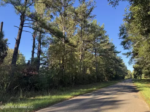 1020 Robert Jones Rd, Summit, MS 39666 photo 12