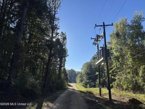 1020 Robert Jones Rd, Summit, MS 39666 photo 2