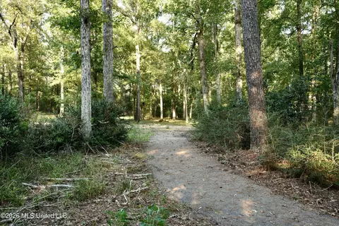 Us-98, Summit, MS 39666 photo 6