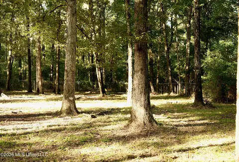 Us-98, Summit, MS 39666 photo 10