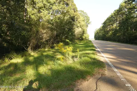 Us-98, Summit, MS 39666 photo 19