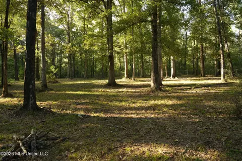 Us-98, Summit, MS 39666 photo 9