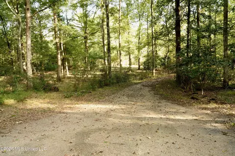 Us-98, Summit, MS 39666 photo 15