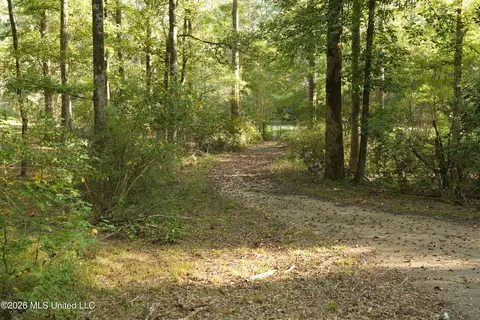 Us-98, Summit, MS 39666 photo 3