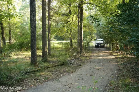 Us-98, Summit, MS 39666 photo 4