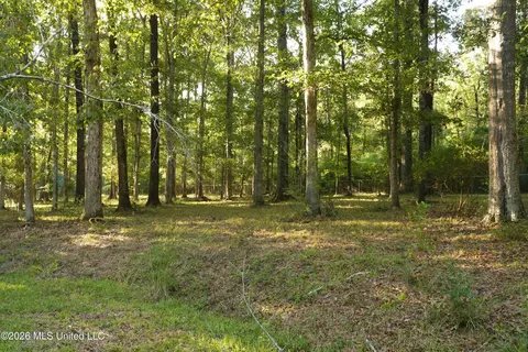 Us-98, Summit, MS 39666 photo 8