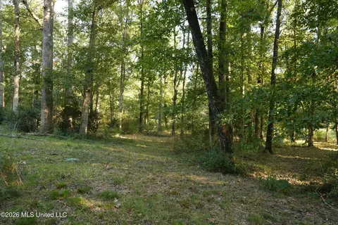 Us-98, Summit, MS 39666 photo 7