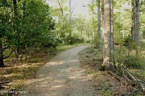 Us-98, Summit, MS 39666 photo 18