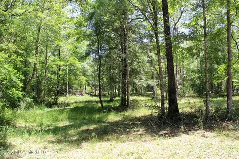 2 88ac Morrison Dr, Lucedale, MS 39452 photo 11