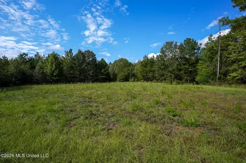 Other - 888 Doc Henry Cv, Terry, MS 39170 photo 15 of 21