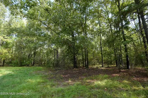 Other - 888 Doc Henry Cv, Terry, MS 39170 photo 11 of 21