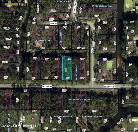 Trout Street, Bay Saint Louis, MS 39520