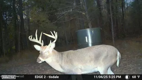 271 Tisdale Rd, Madison, MS 39110 photo 20