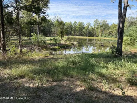271 Tisdale Rd, Madison, MS 39110 photo 11