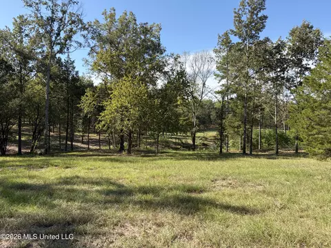 271 Tisdale Rd, Madison, MS 39110 photo 13