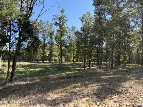 271 Tisdale Rd, Madison, MS 39110 photo 10