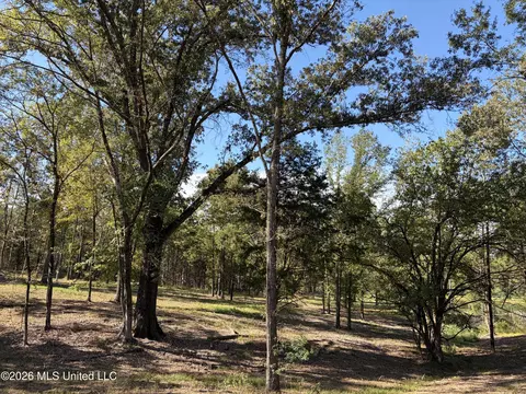 271 Tisdale Rd, Madison, MS 39110 photo 15