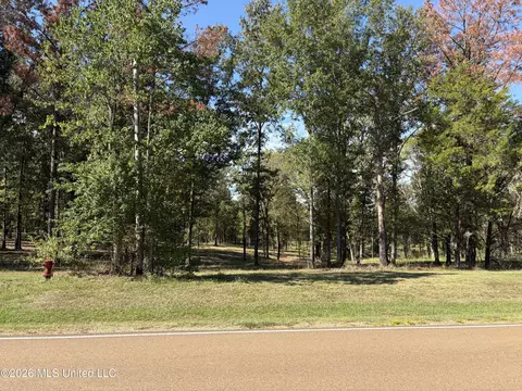 271 Tisdale Rd, Madison, MS 39110 photo 17