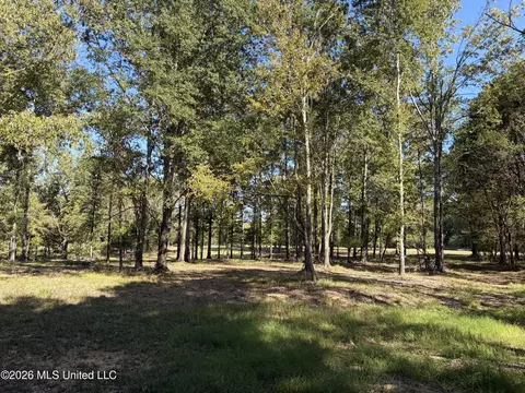 271 Tisdale Rd, Madison, MS 39110 photo 16