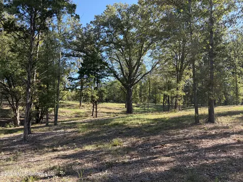 271 Tisdale Rd, Madison, MS 39110 photo 12
