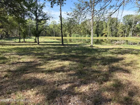 271 Tisdale Rd, Madison, MS 39110 photo 9