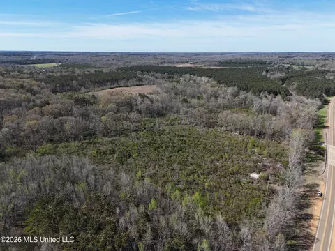View/Area - 576 Franklin Rd, Goodman, MS 39079 photo 1 of 3