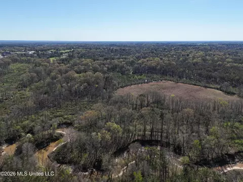 View/Area - 576 Franklin Rd, Goodman, MS 39079 photo 3 of 3