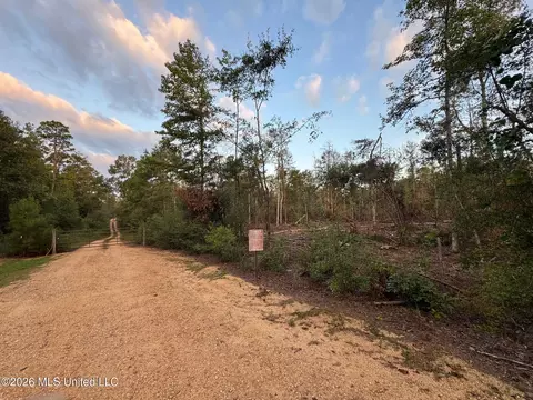Magnolia Pisgah Road, Summit, MS 39666 photo 5