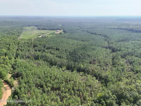County Road 414, Falkner, MS 38629 photo 2