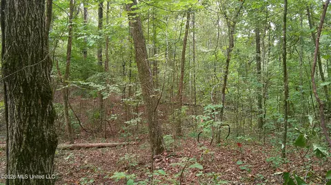 County Road 414, Falkner, MS 38629 photo 6