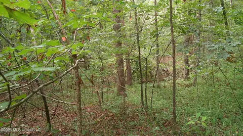 County Road 414, Falkner, MS 38629 photo 5