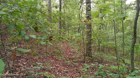 County Road 414, Falkner, MS 38629 photo 4