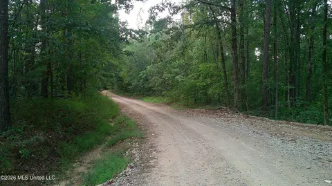 County Road 414, Falkner, MS 38629 photo 3
