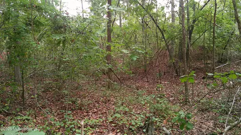 County Road 414, Falkner, MS 38629 photo 7