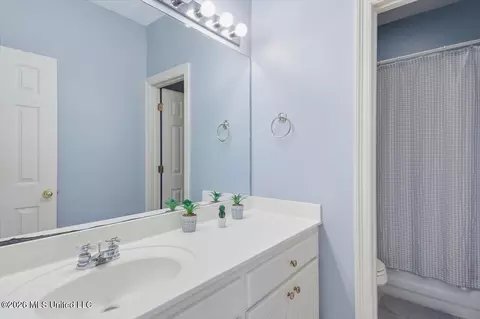 Bath - 804 Annandale Rd, Madison, MS 39110 photo 3 of 3