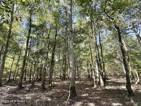 5 Evans Rd, Carthage, MS 39051 photo 12