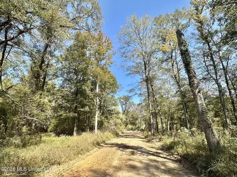 6 Evans Rd, Carthage, MS 39051 photo 4