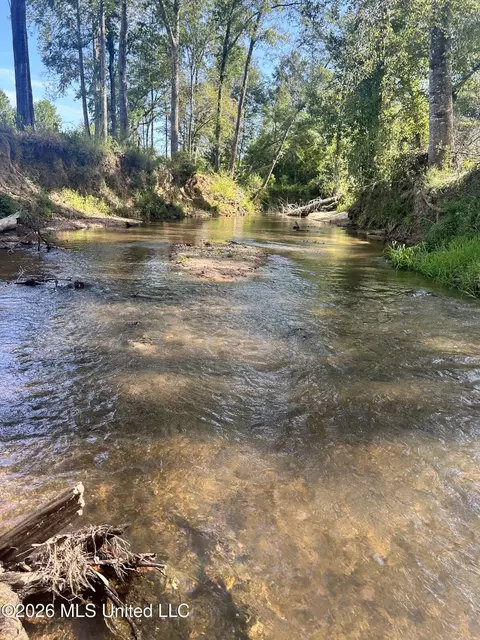 SE Shivers Lane, Prentiss, MS 39474