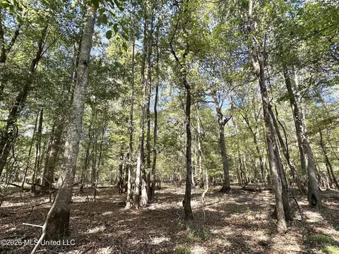 7 Evans Rd, Carthage, MS 39051 photo 3