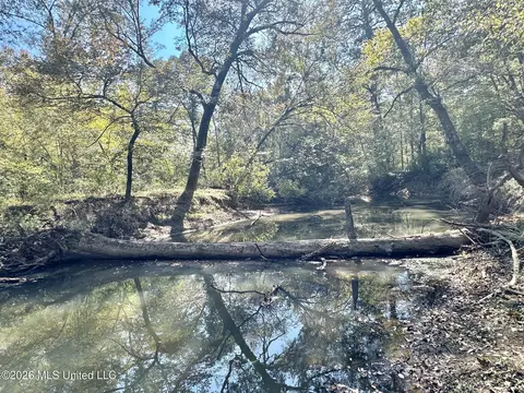 7 Evans Rd, Carthage, MS 39051 photo 5