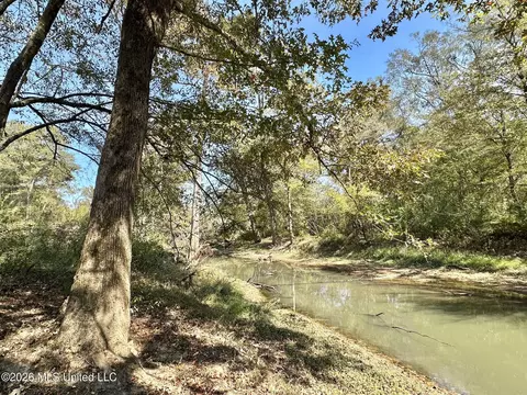 7 Evans Rd, Carthage, MS 39051 photo 4