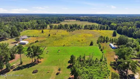 Presley Road, Lena, MS 39094 photo 18