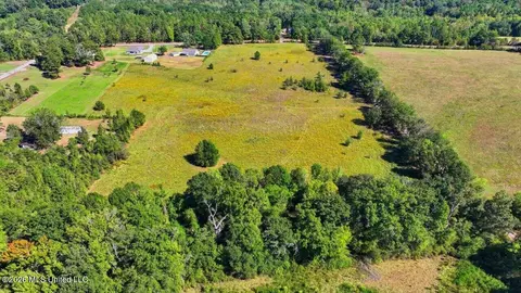 Presley Road, Lena, MS 39094 photo 14